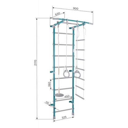 Gimnasio Infantil de Pared con Espaldera, Anillas, Escalera y Columpio PASTEL1 217*63*52.5 cm