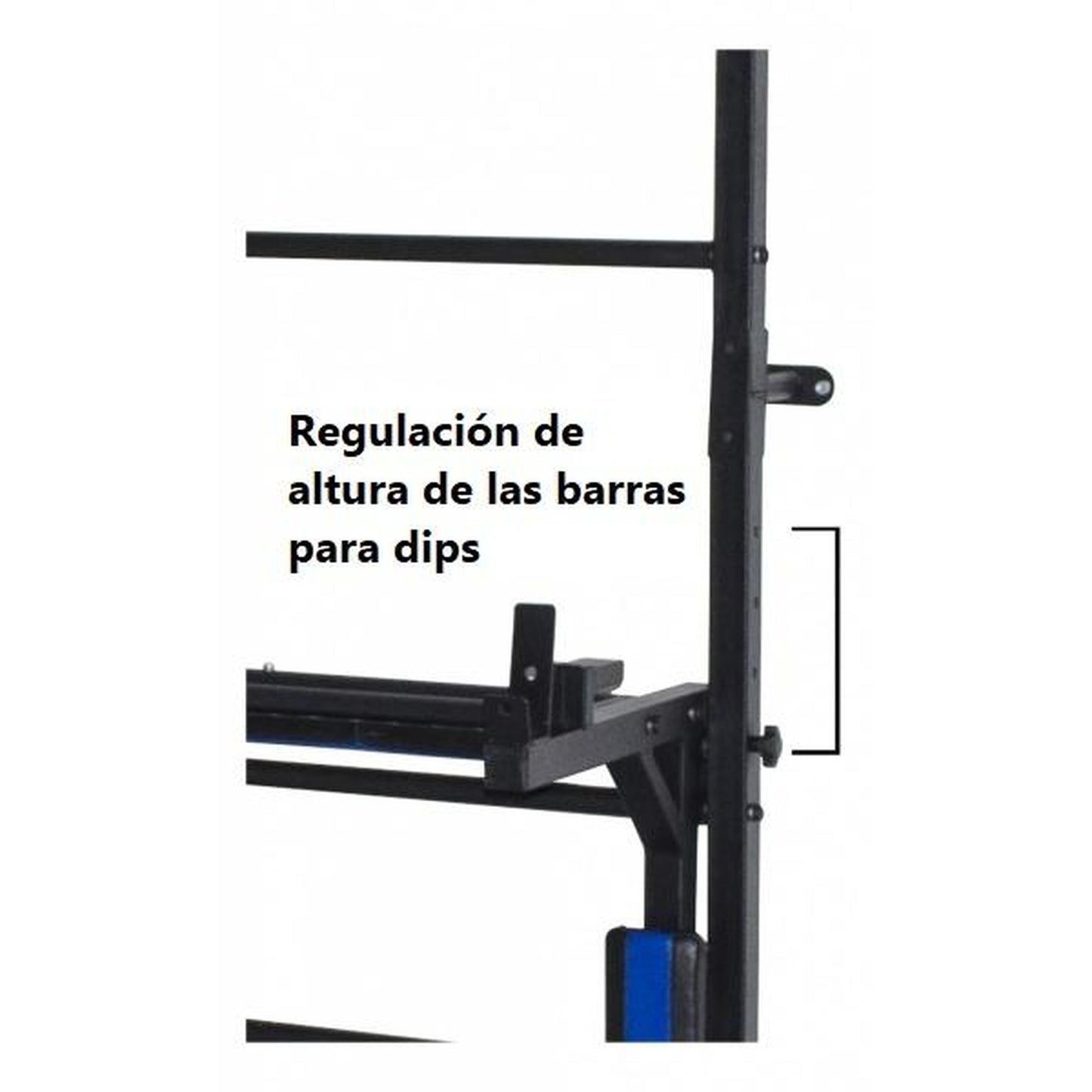 Gimnasio Adultos de Pared "3 en 1" con Espaldera, Barras para Dips, Banco Plegable y Barra de Dominadas BOGATYR FLEXTER 246*110*68.5 cm Blanco  - Negro